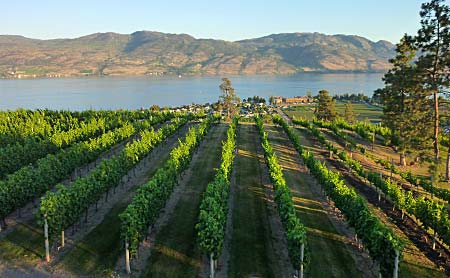 The Okanagan